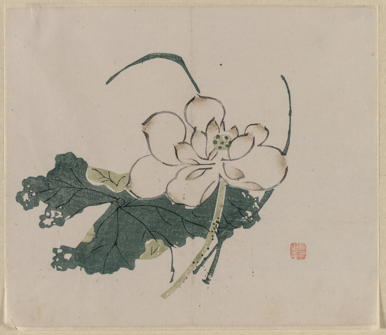 Lotusblomst av Unknown artist