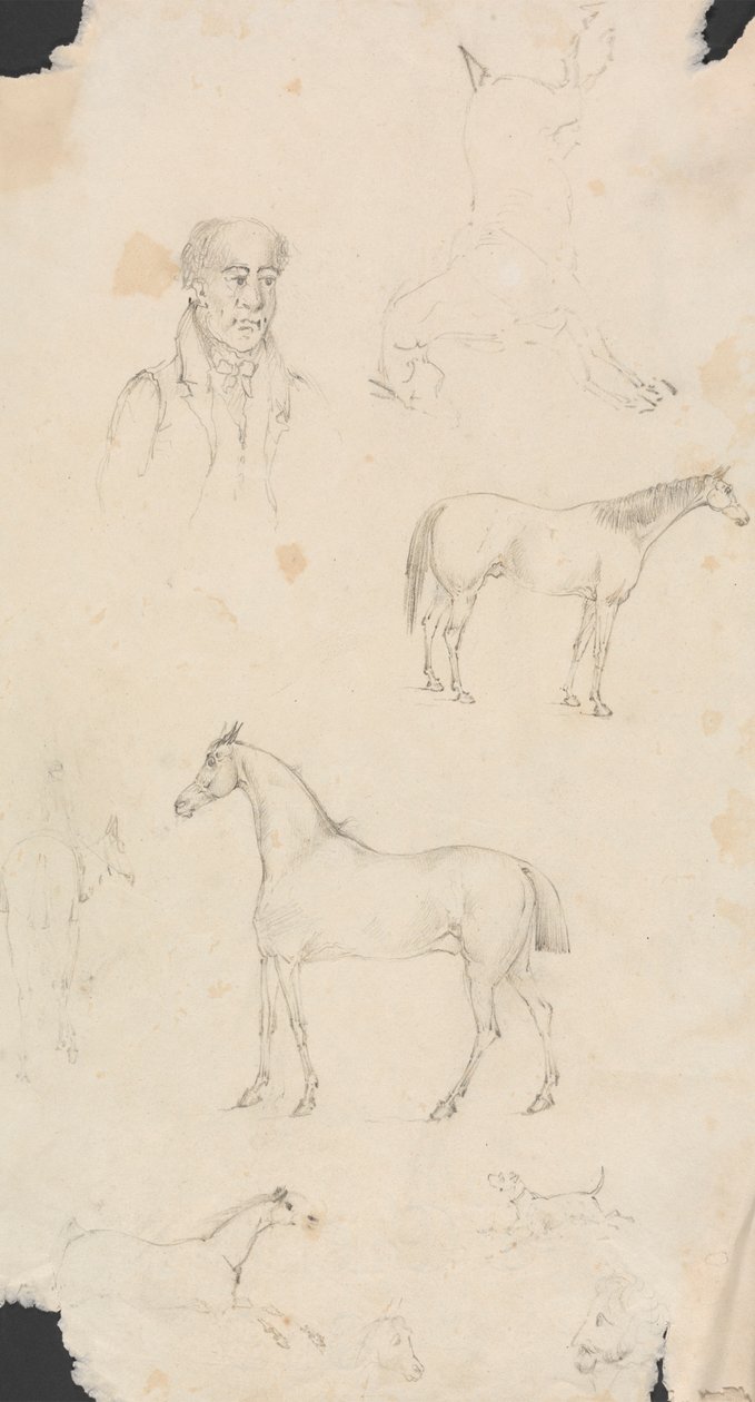 Mennesker, hester og hunder av Unknown artist