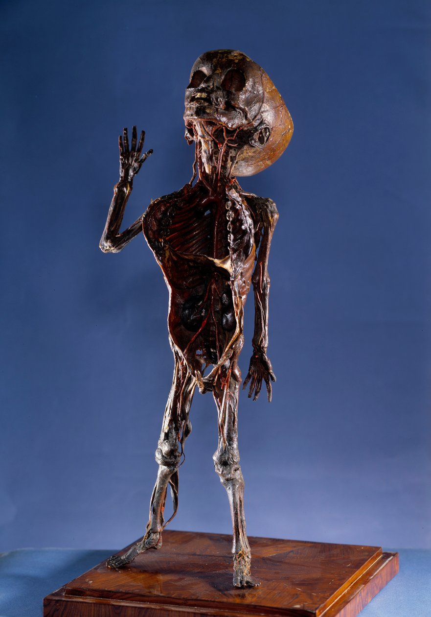 Medisin: skrell figur. Privat samling fra 1700-tallet av Unknown artist