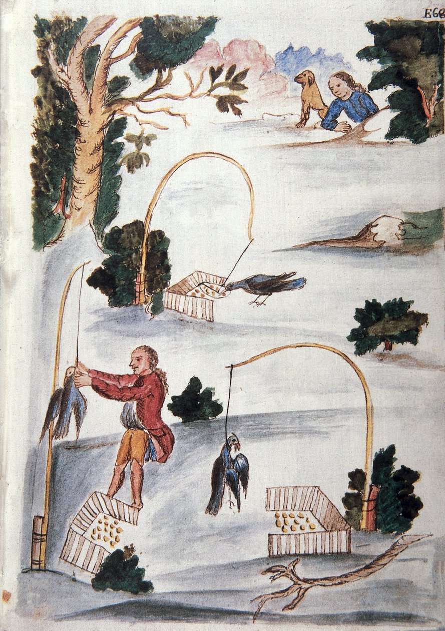Metode for å fange fugler i lasso, fra boken "Trujillo del Peru" eller "Códice Martínez Compañón", av Baltazar Martinez Compañón y Bujanda, biskop av Trujillo (1782-1785) av Unknown artist