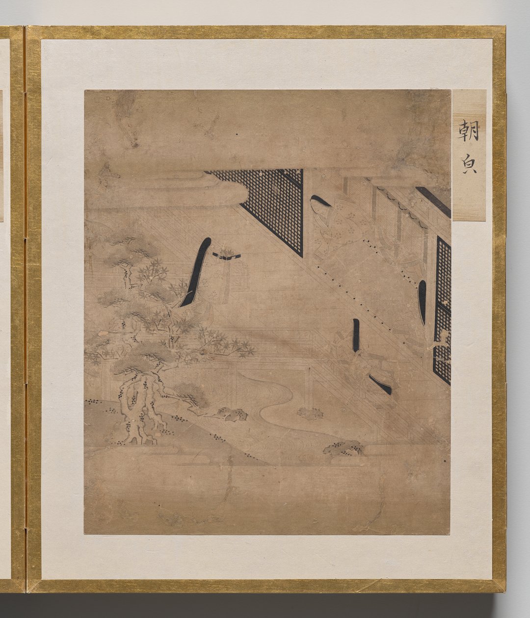 Morning Glory fra Album of Illustrations for Tale of Genji av Unknown artist