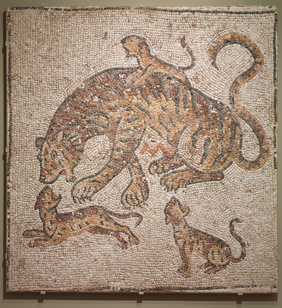 Mosaikk av Tigress og unger av Unknown artist