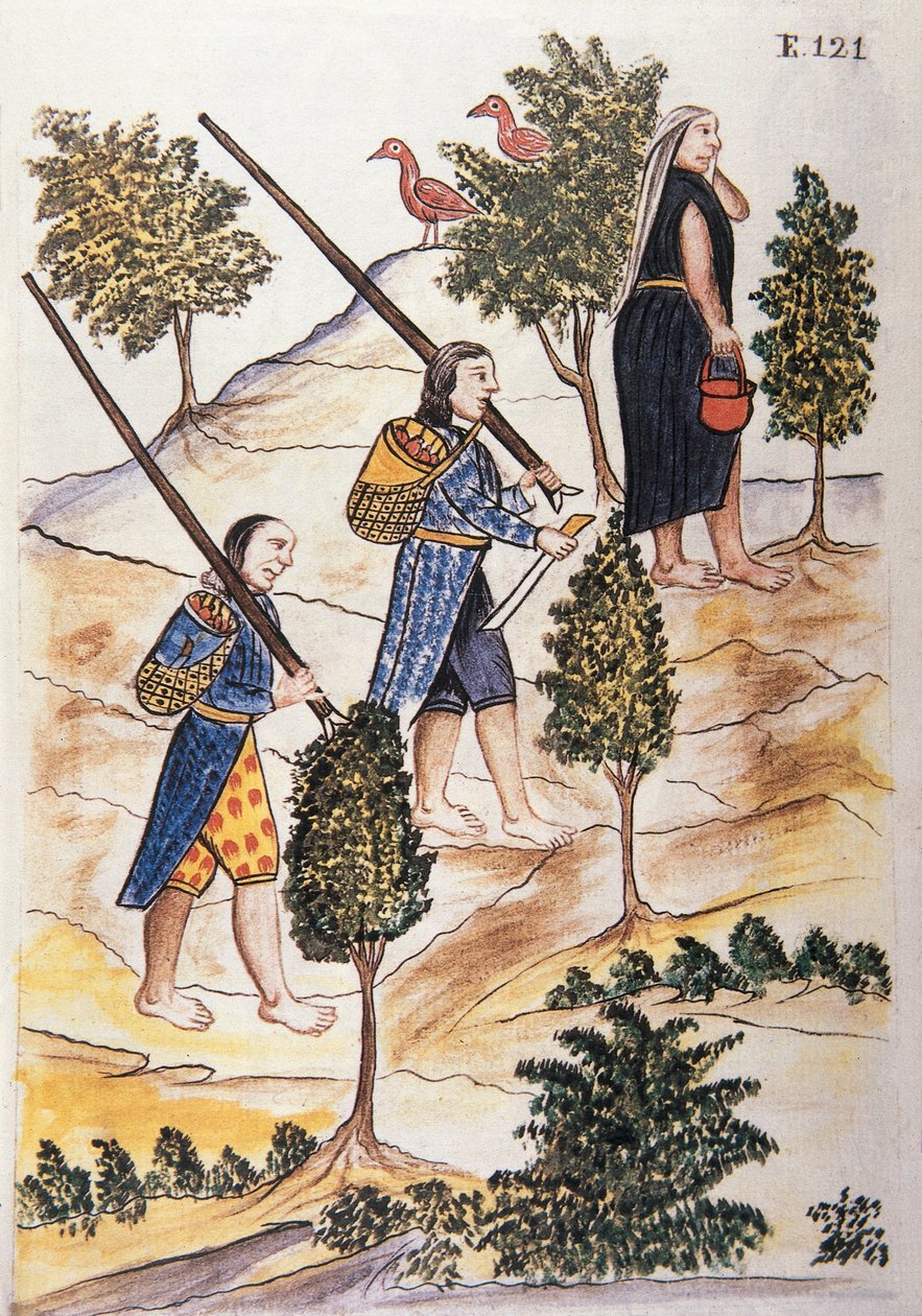 Motilones-indianere som skal jakte, fra boken "Trujillo del Peru" eller "Códice Martínez Compañón", av Baltazar Martinez Compañón y Bujanda, biskop av Trujillo (1782-1785) av Unknown artist