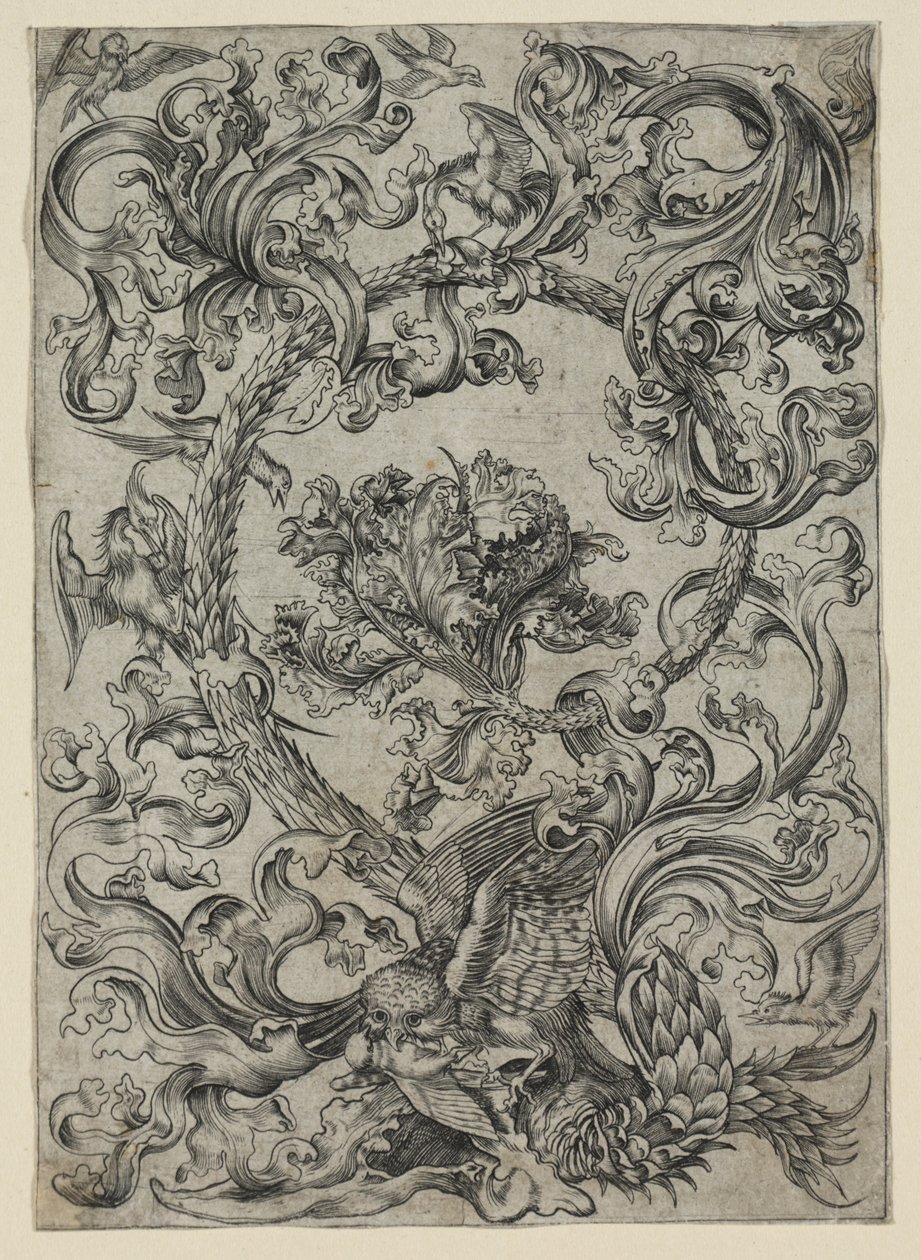 Ornamental løvverk, med en ugle og andre fugler av Unknown artist
