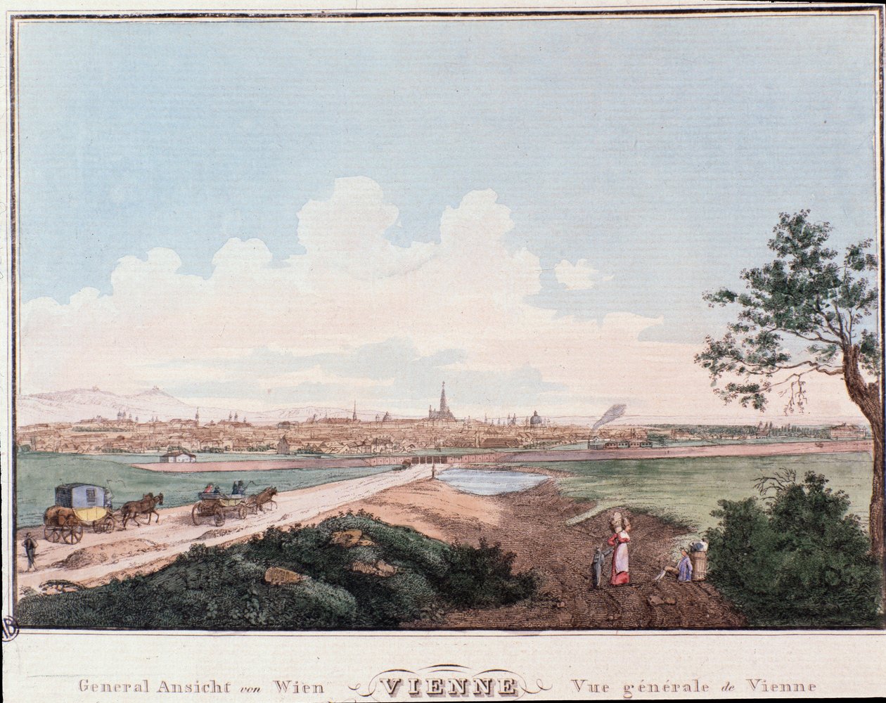 Oversikt over byen Wien med bro som krysser Donau. Østerrike Gravering fra 1830 privatsamling av Unknown artist