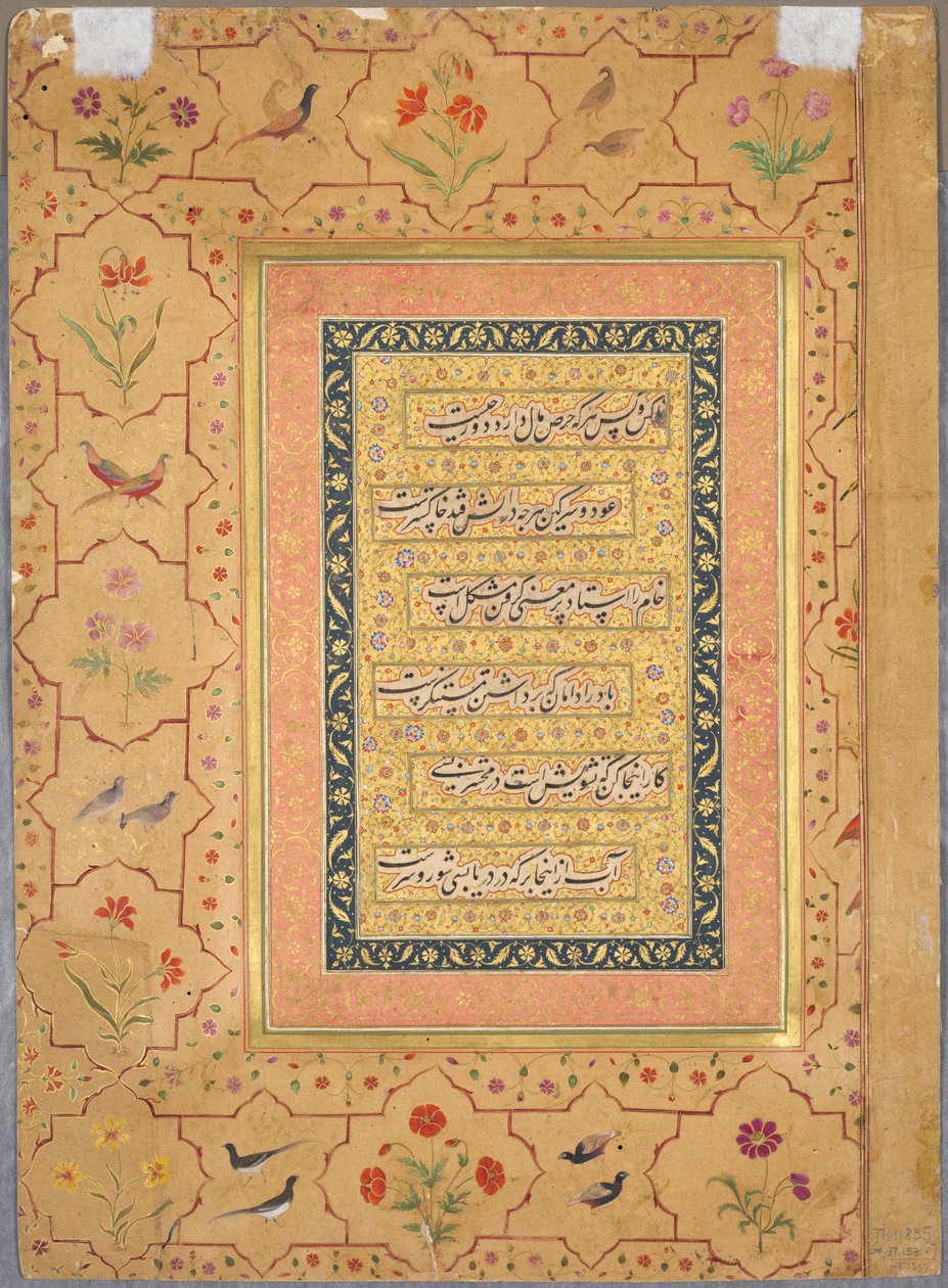 Side fra Late Shah Jahan-albumet: Kalligrafi innrammet av en ornamental kant med valmuer og fuglepar (verso) av Unknown artist