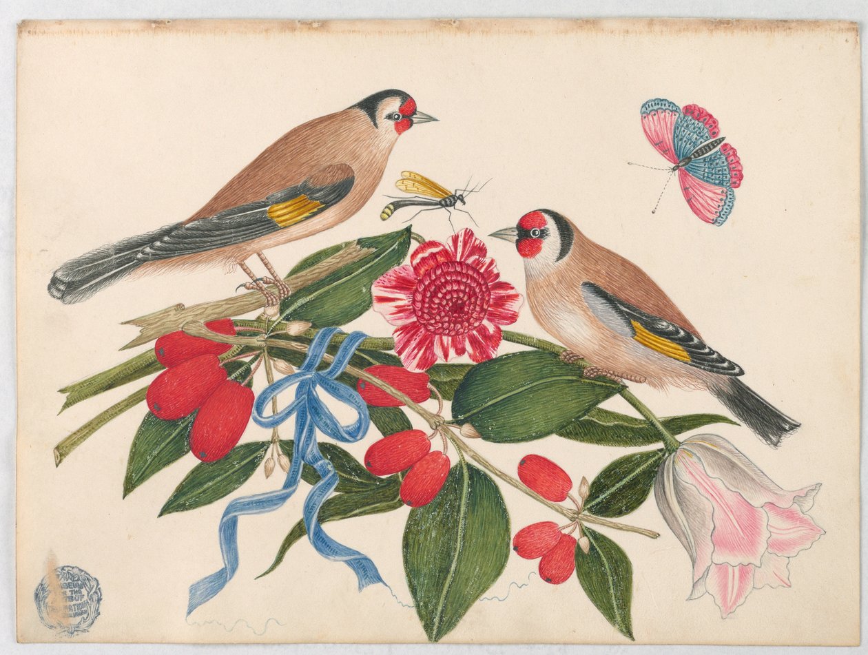 Pair of Brown Birds with Blossoms, Berries, and a Butterfly   1246767   no       norwegian Successfully Translated  Original: Illustration of the fable “The council held by the rats” by Jean de La Fontaine. Watercolour by Auguste Delierre (1829-c.1890) Tra av Unknown artist