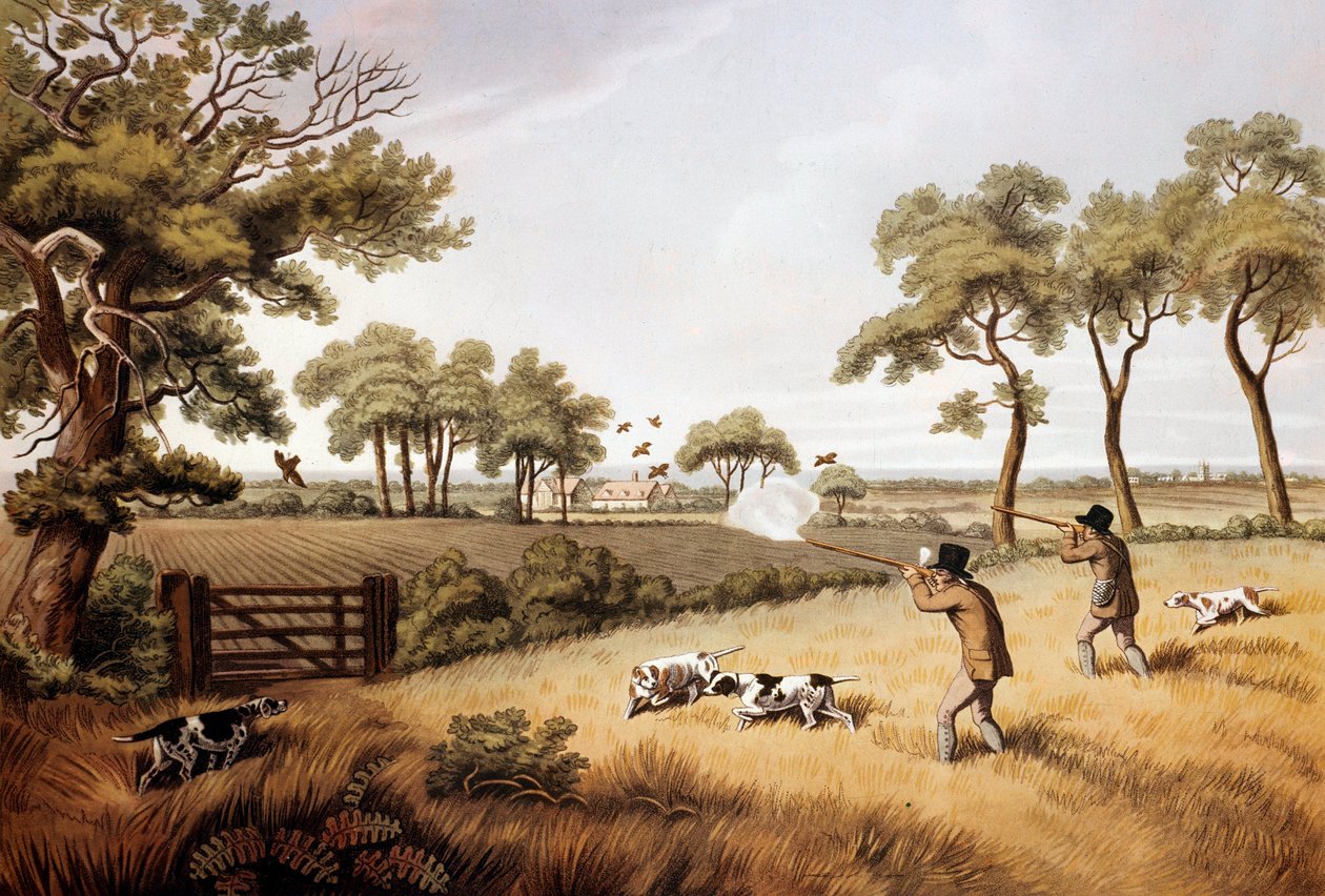 Rapphønejaktscene: Litografi fra 1800-tallet Gien, jaktmuseum av Unknown artist