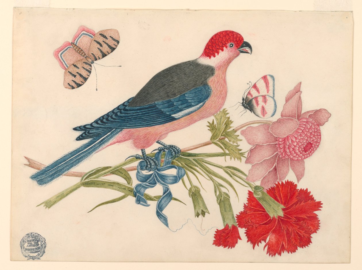 Pink, Red, Blue, and Black Bird on Branch with Blossoms and Butterflies   1233138   no       norwegian Successfully Translated  Original: Plymouth: Swiss Lodge and Gardens, Devonport Park (colour litho) Translat: Plymouth: Swiss Lodge and Gardens, Devonpor av Unknown artist