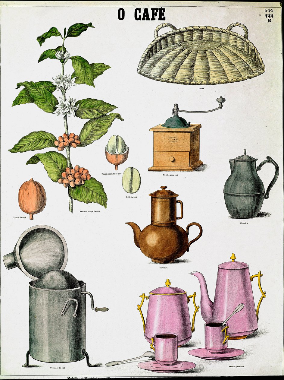 Plate som illustrerer de forskjellige stadiene av å lage kaffe, kaffegren, mølle og forskjellige kaffetraktere. Gravering av privatsamlingen fra 1800-tallet av Unknown artist