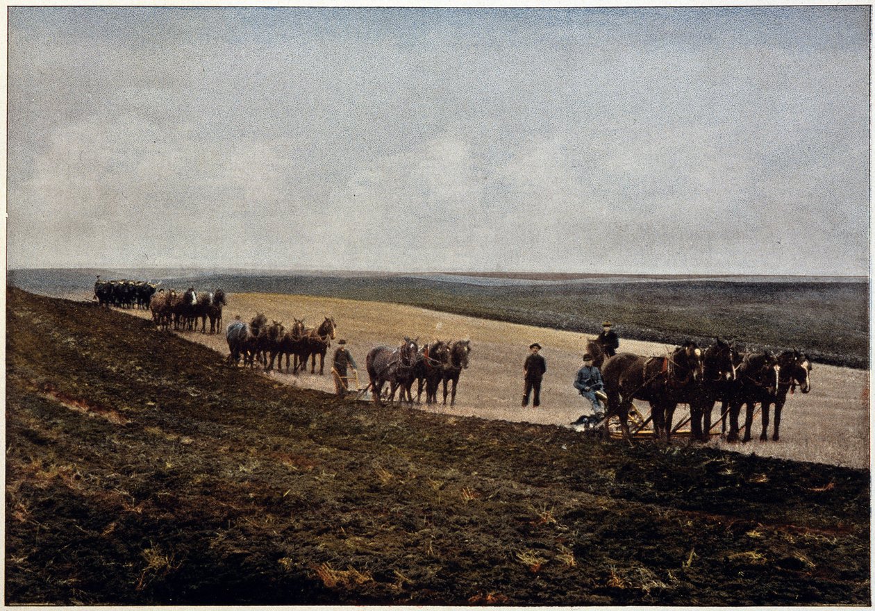 Pløying i Manitoba-slettene (Canada), slutten av 1800-tallet av Unknown artist