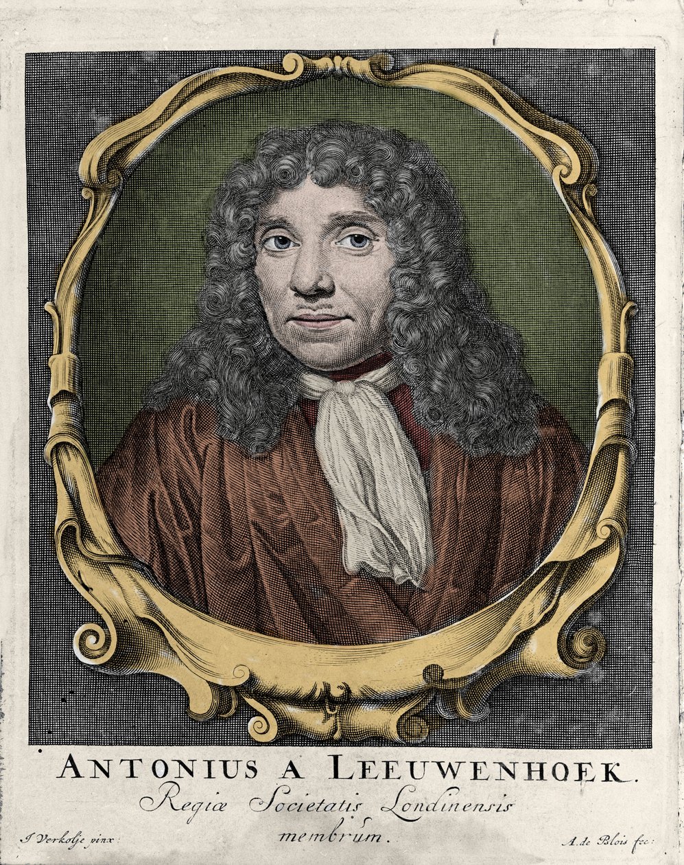 Portrett av Antonie Van Leeuwenhoek eller Anton van Leeuwenhoek, eller Leeuwenhoek, eller Leeuwenhoeck. nederlandsk naturforsker (1632-1723). gravering av 1722. av Unknown artist