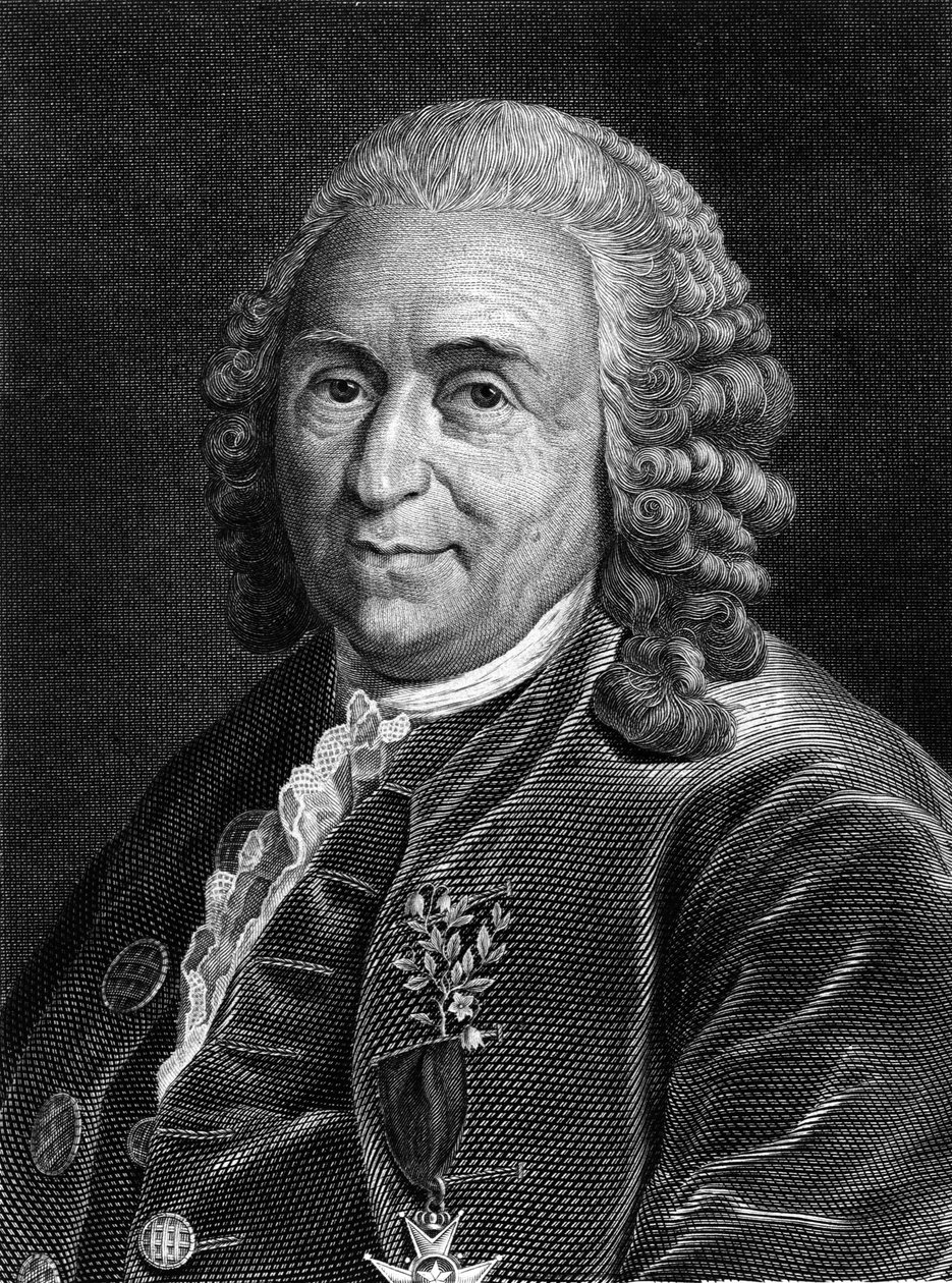 Portrett av Carl Von Linné svensk naturforsker og forfatter (1707 - 1778). Sd. gravering fra 1800-tallet. av Unknown artist