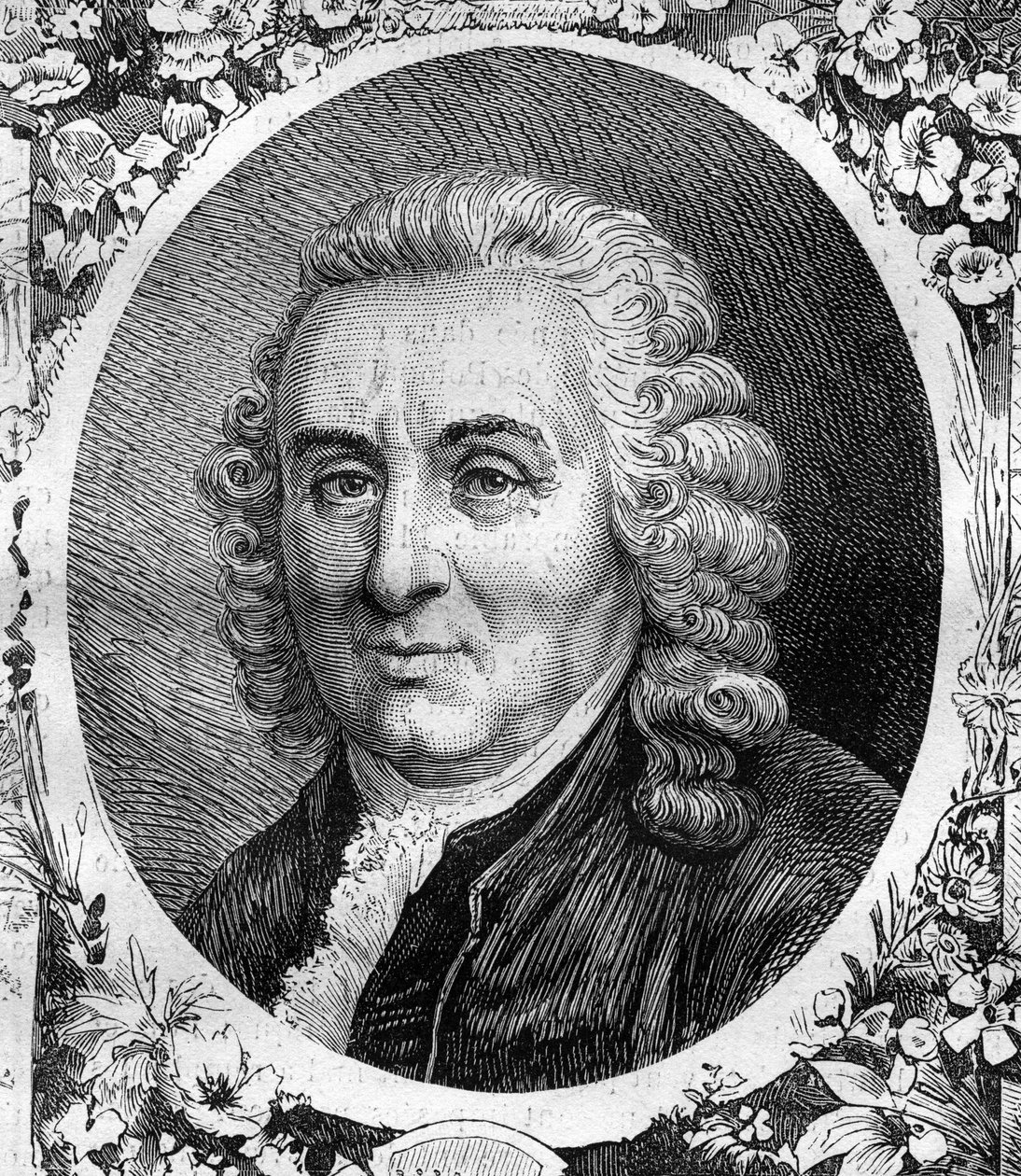 Portrett av Charles Linne (Carl von Linne, Carl Linnaeus) (1707-1778), svensk naturforsker. Gravering fra 1878. av Unknown artist