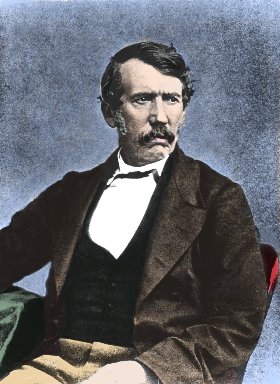 Portrett av David Livingstone (1813-1873) skotsk misjonær og oppdagelsesreisende. av Unknown artist