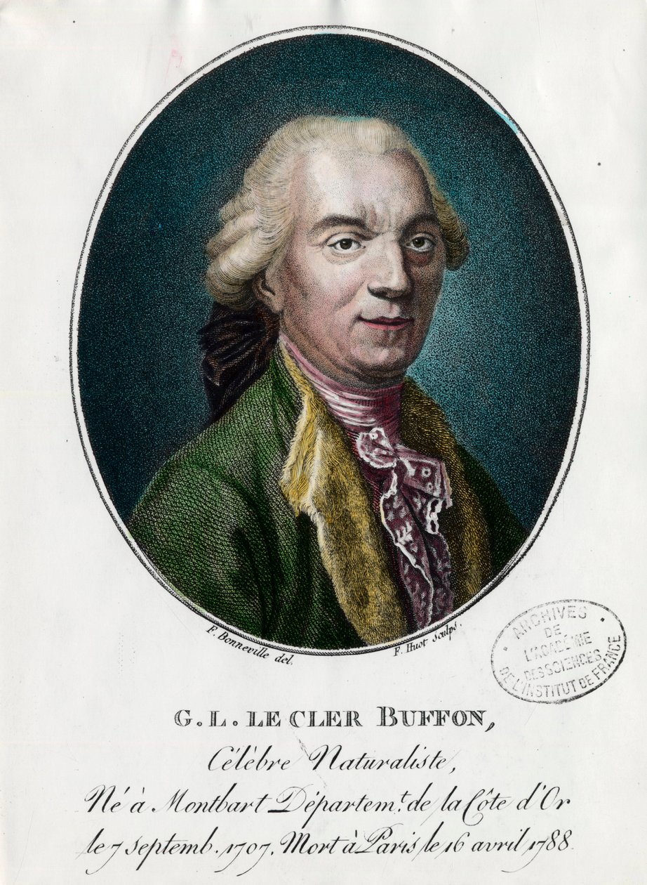 Portrett av George Louis Le Clerc, greve av Buffon av Unknown artist