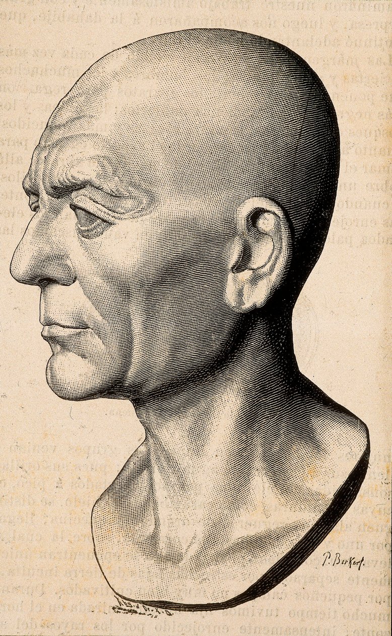 Portrett av Publius Cornelius Scipio (Scipio den afrikanske) Africanus, romersk statsmann (235-183 f.Kr.). av Unknown artist