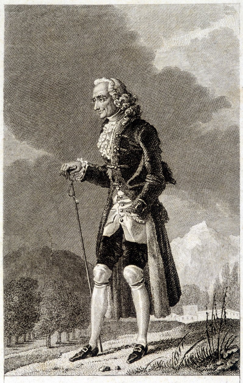 Portrett av Voltaire (1694 - 1778), fransk forfatter og filosof, eldre. av Unknown artist