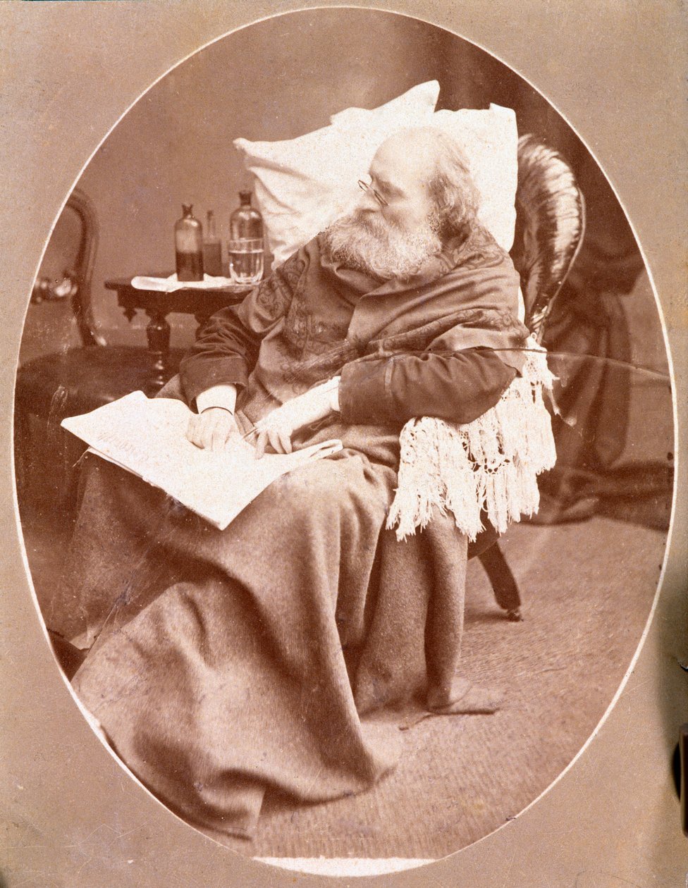 Portrett av den italienske patrioten og heltene til Risorgimento Giuseppe Garibaldi (1807-1882) i Caprera i 1882. Fotografi Privat samling av Unknown artist