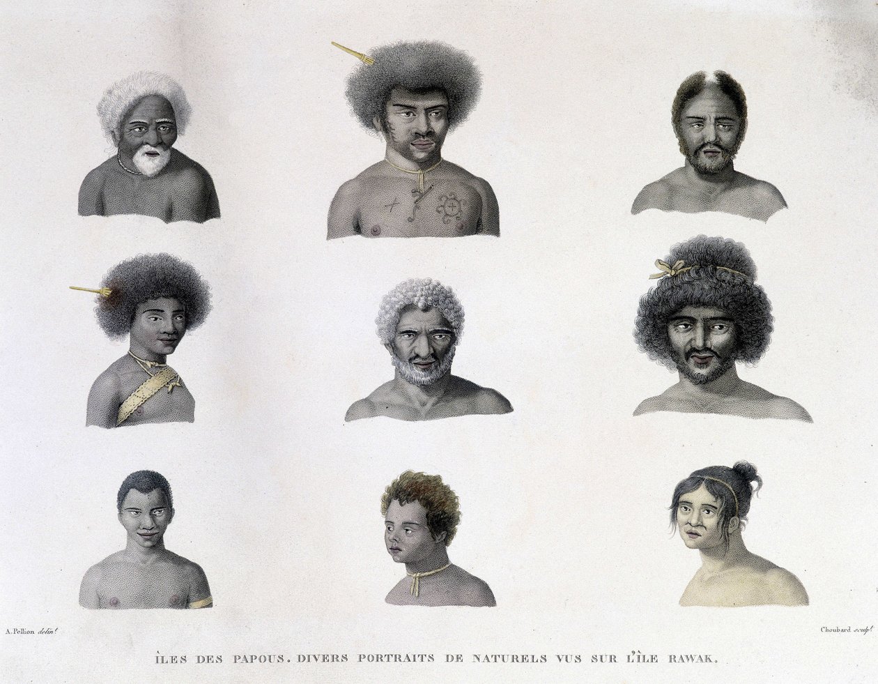 Portretter av Papua fra Rawak Island. av Unknown artist