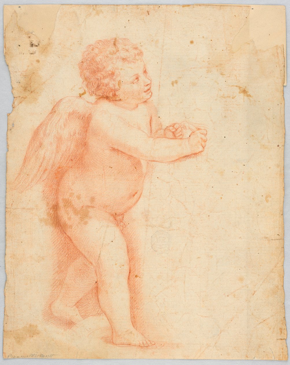 Putto å lage en knute av Unknown artist