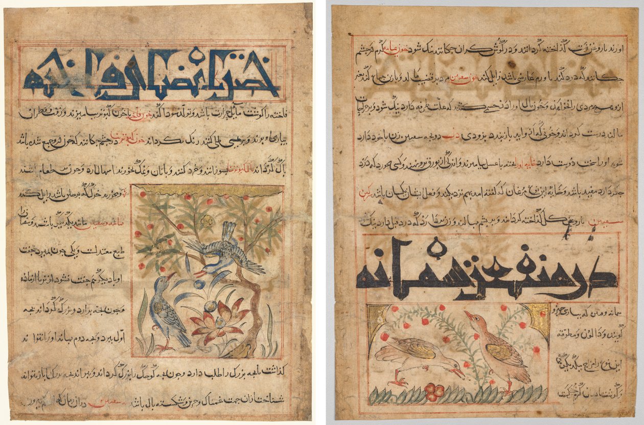 Kvaliteter til ringduer (recto); On the Benefits of Quails (verso), fra en persisk Manafi' al-Hayawan (The Benefits of Animals) fra Abu Said Ubaid-Allah ibn Jibrail ibn Bakhtishu (død 1058–68) av Unknown artist