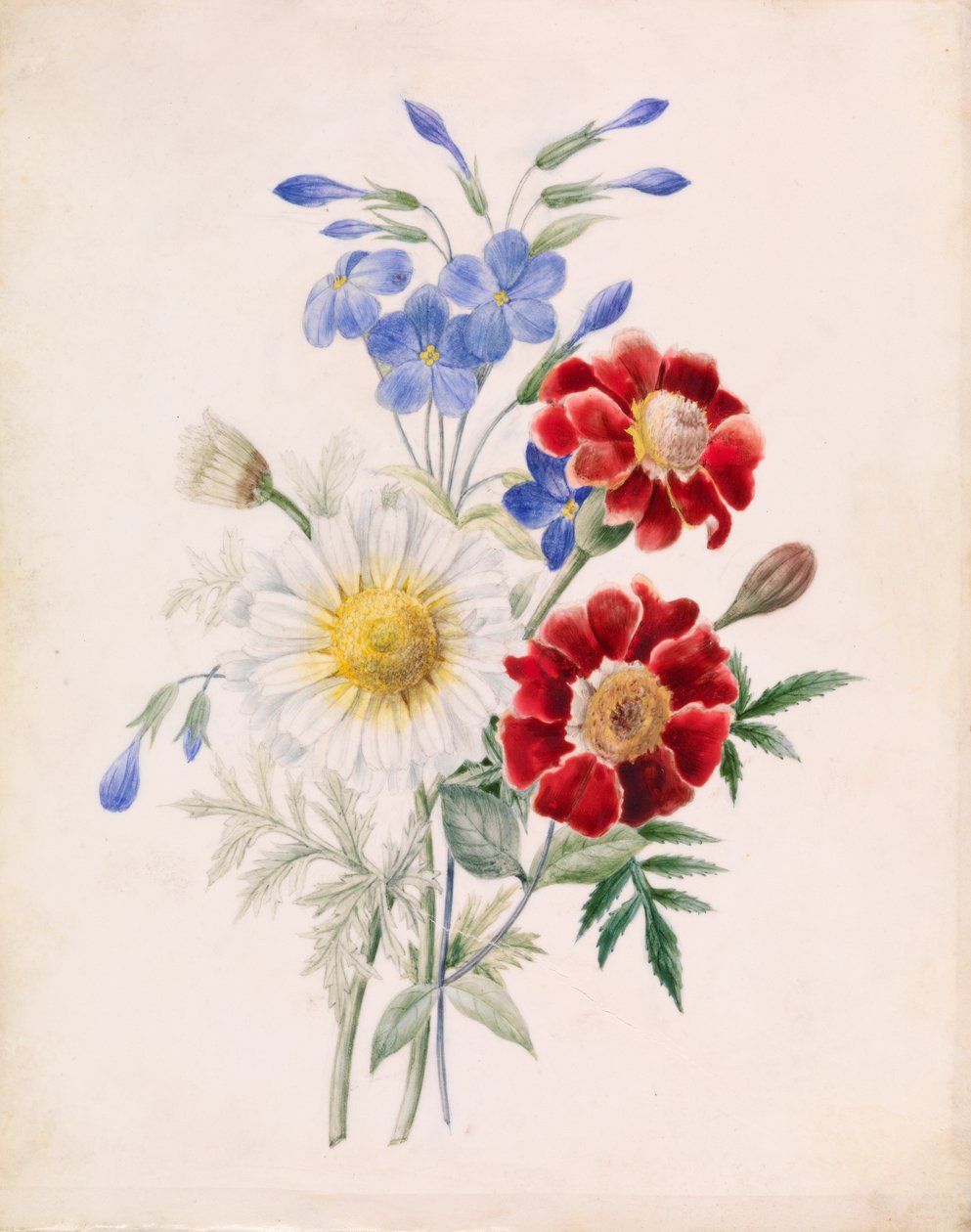 Røde og blå blomster og hvit tusenfryd av Unknown artist