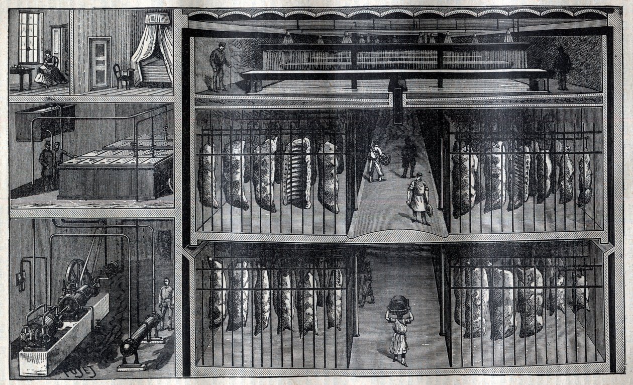 Kjøleboder for kjøtt - Gravering fra “La Science francaise”” av Unknown artist