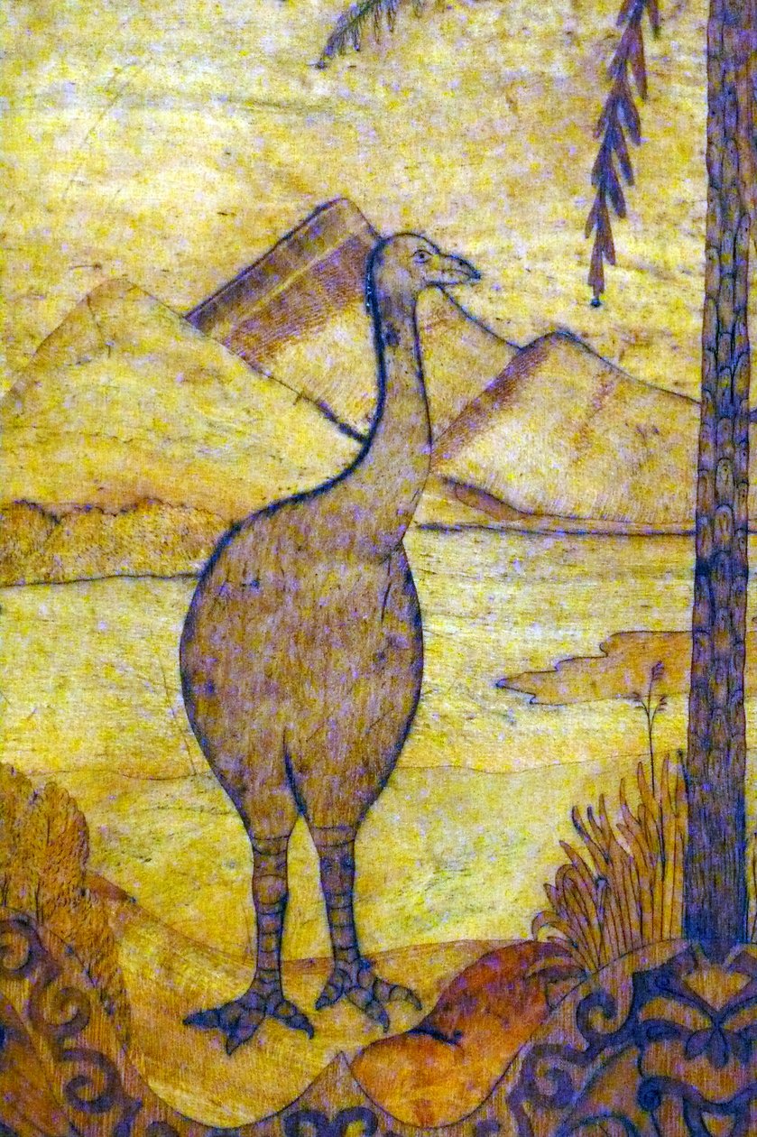 Representasjon av en Moa fra New Zealand, svak rase av kjempefugl som ikke kan fly. 18. århundre av Unknown artist