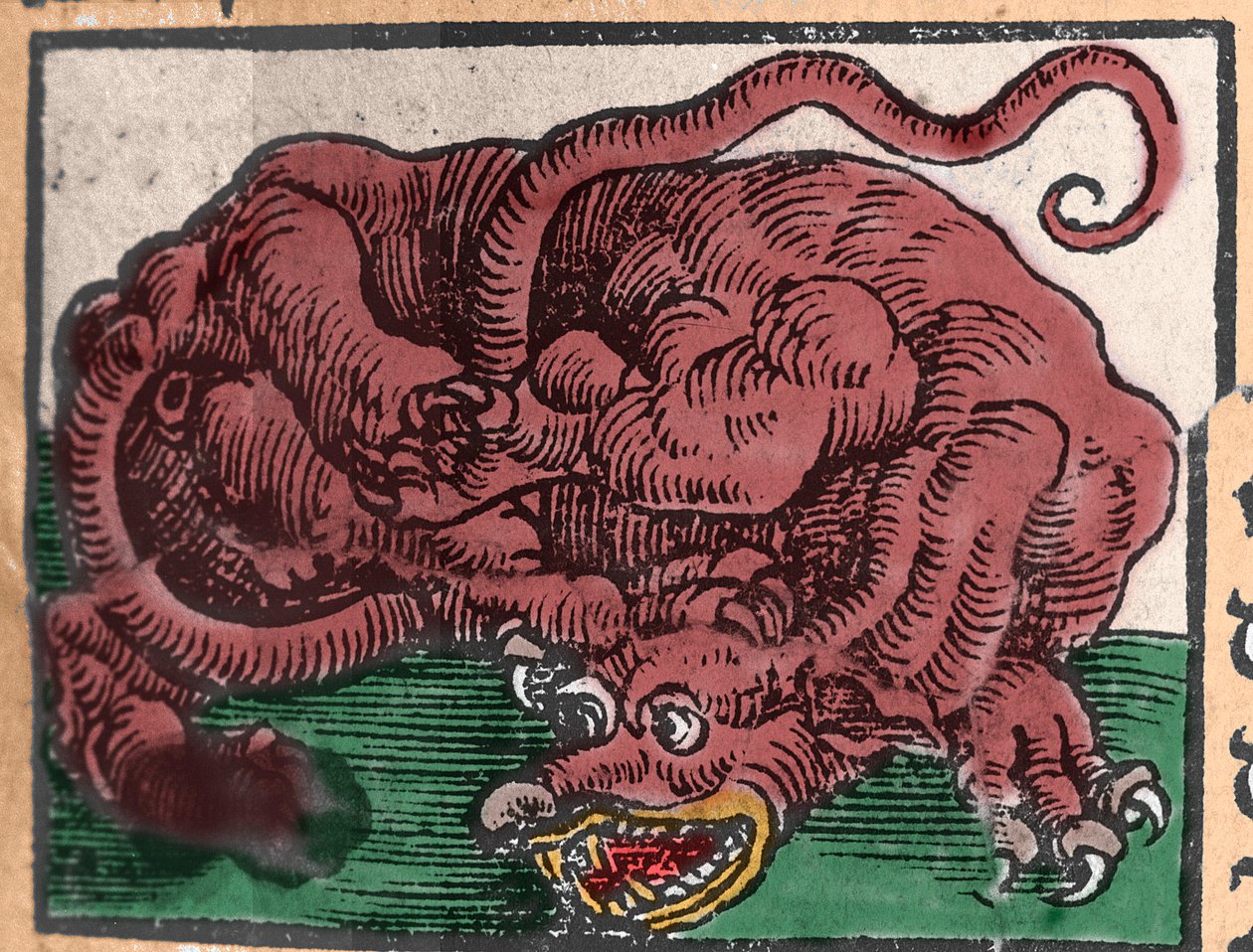 Representasjon av en drage. Gravering fra «Den Ellen Strength Beste Fromen» av Johann Stumpff. 1550 av Unknown artist