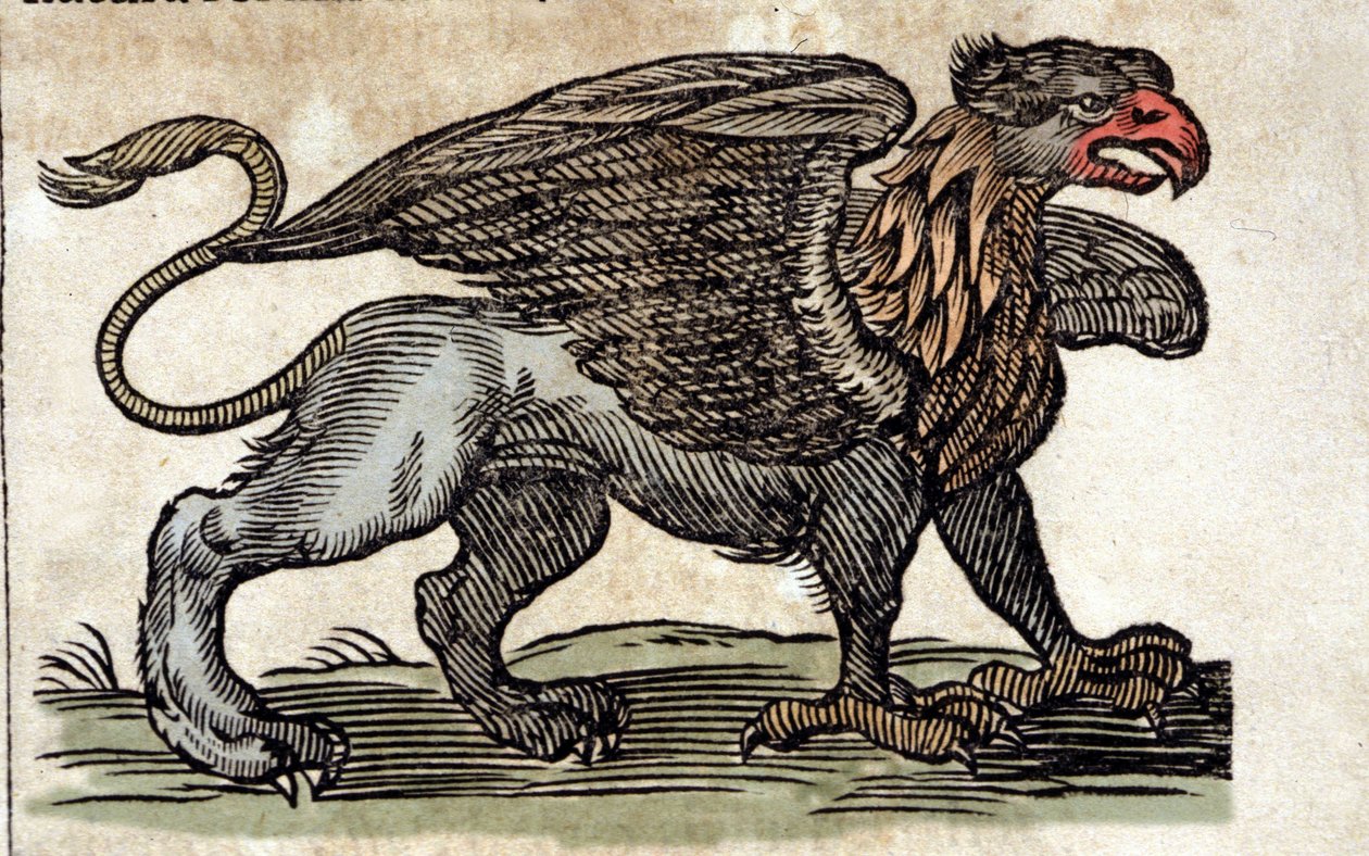 Representasjon av en griffon, fantastisk skapning halv ørn halv løve. Gravering fra et verk av Athanasius Kircher (1601 - 1680), jesuite, orientalist og lærd. av Unknown artist