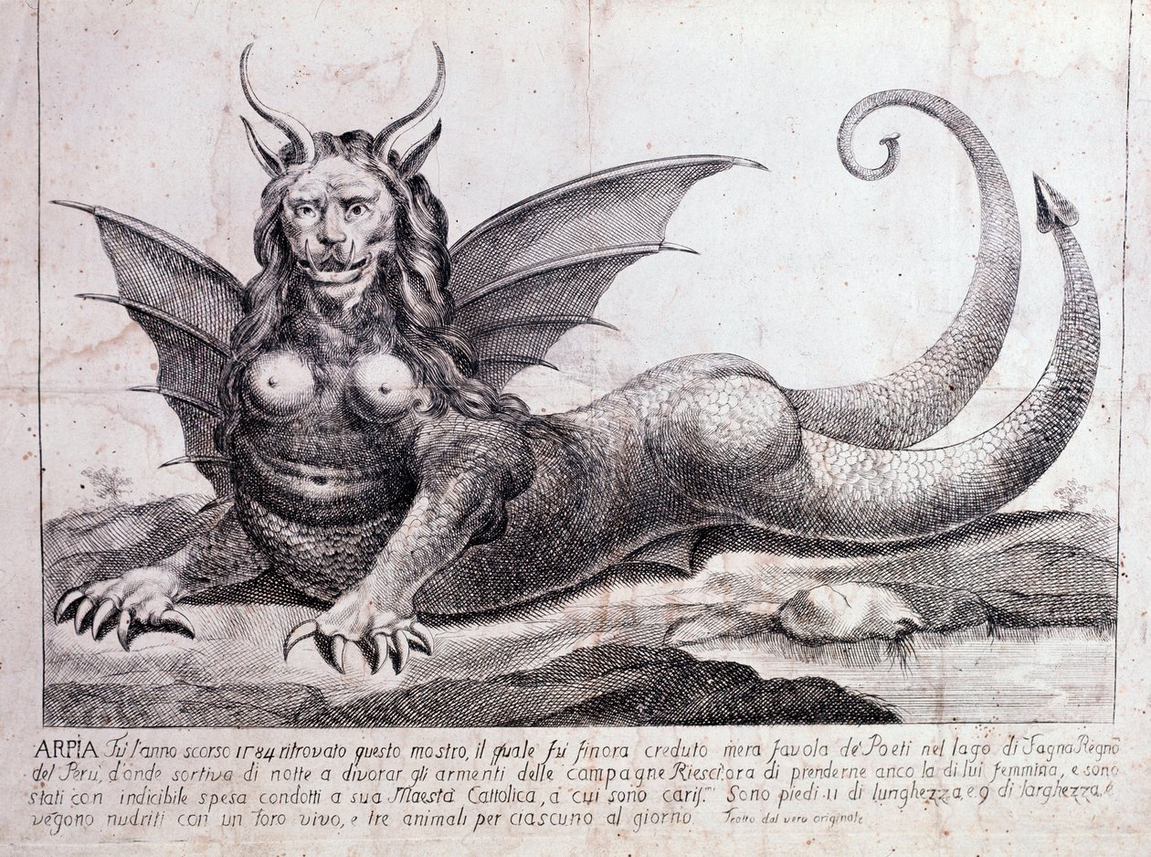 Representasjon av en harpy, et monster funnet i en peruansk innsjø: den har et menneskelig ansikt, horn, dragevinger, en løvemanke, kropp av et krypdyr, en kvinnes bryst (trykk 1784) av Unknown artist