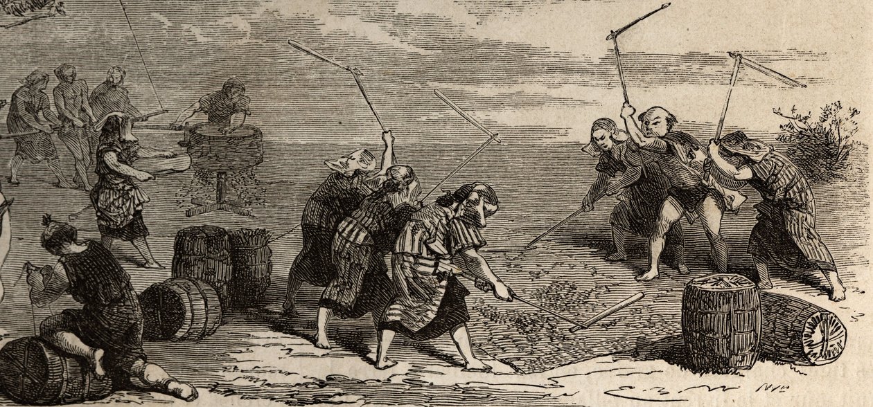 Risdyrking: siste trinn, ved hjelp av blomsten og kvernen, skilles riskornene fra stilken og skallet, og lagres deretter forsiktig i bokser med flettet halm. Gravering for å illustrere reisen til Japan i 1863-1864, av Aime Humbert, minister av Unknown artist