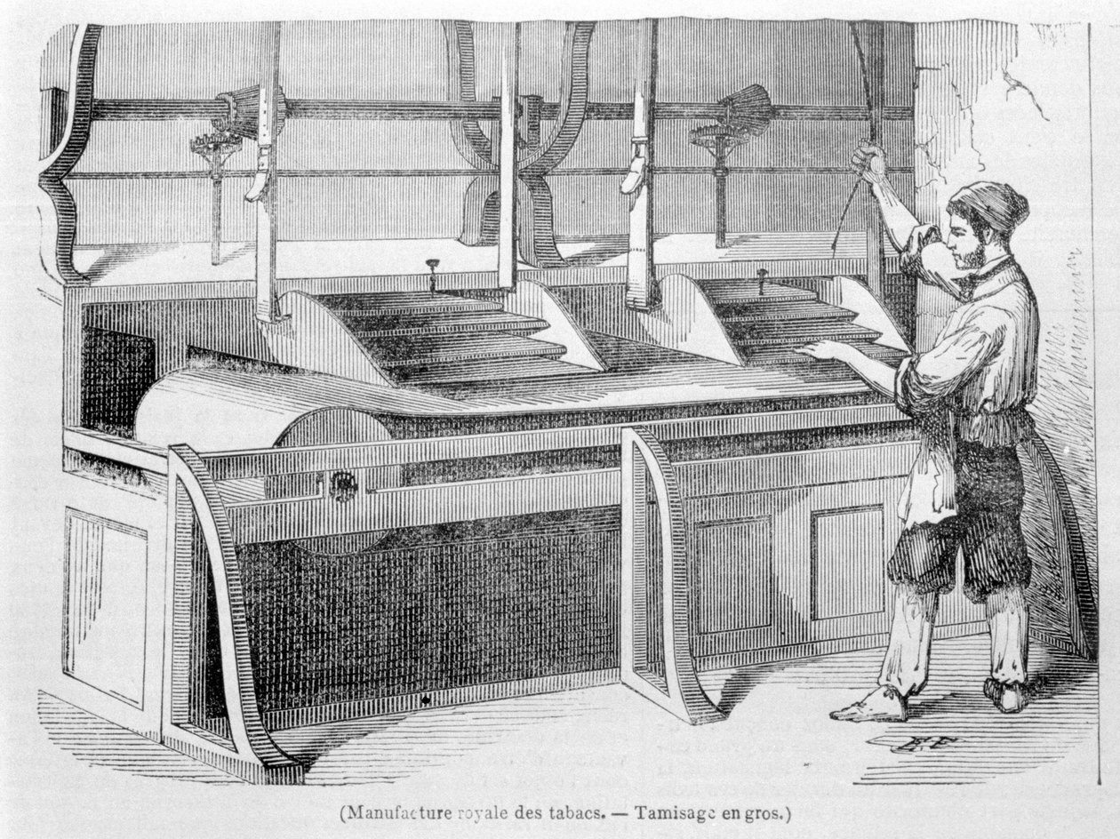 Royal Tobacco Factory: Engrossikting av tobakk. 1800-talls gravering. av Unknown artist