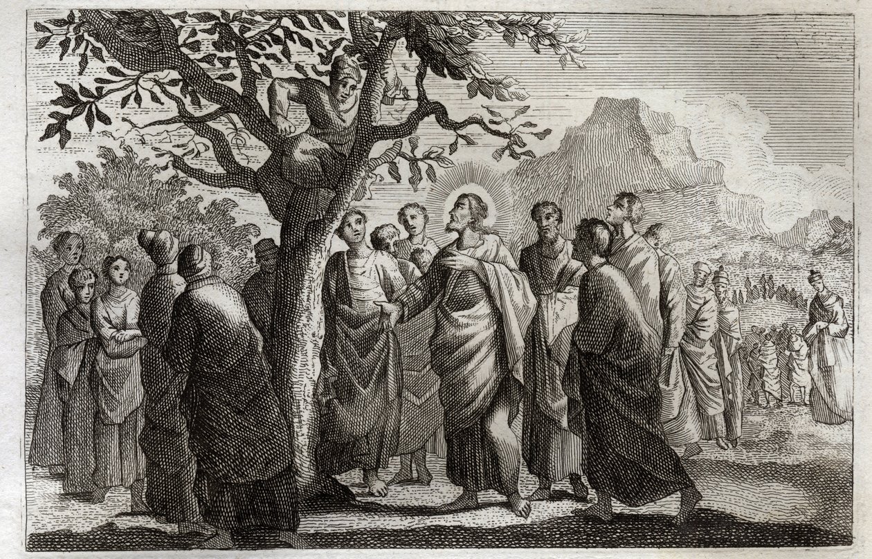 Royaumont Bibelen, Det nye testamente: Omvendelse av Zachee. Jesus Kristus snakker med Zachee og sitter på platanen. Illustrasjon fra 1811. av Unknown artist
