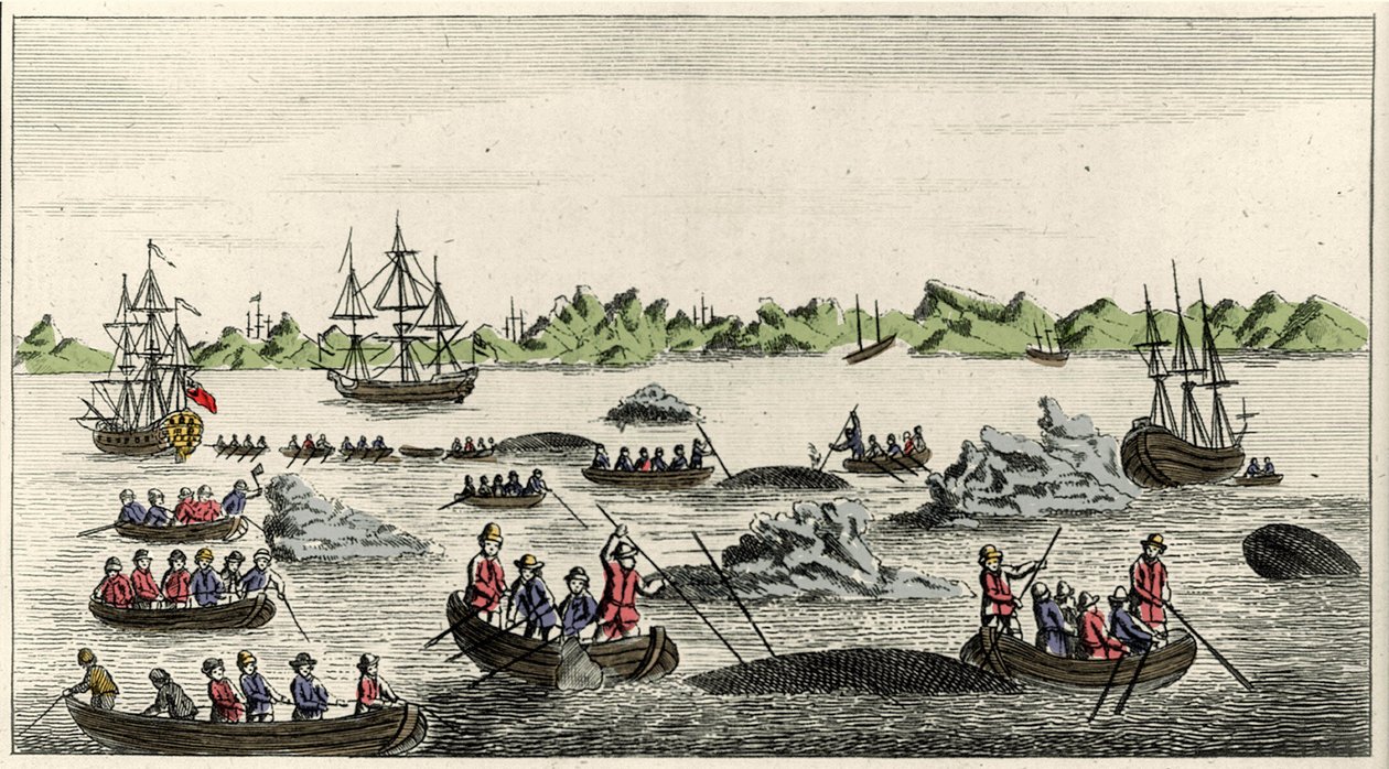Scene for hvalfiske på Grønland på 1700-tallet, anonymt populærtrykk fra perioden av Unknown artist