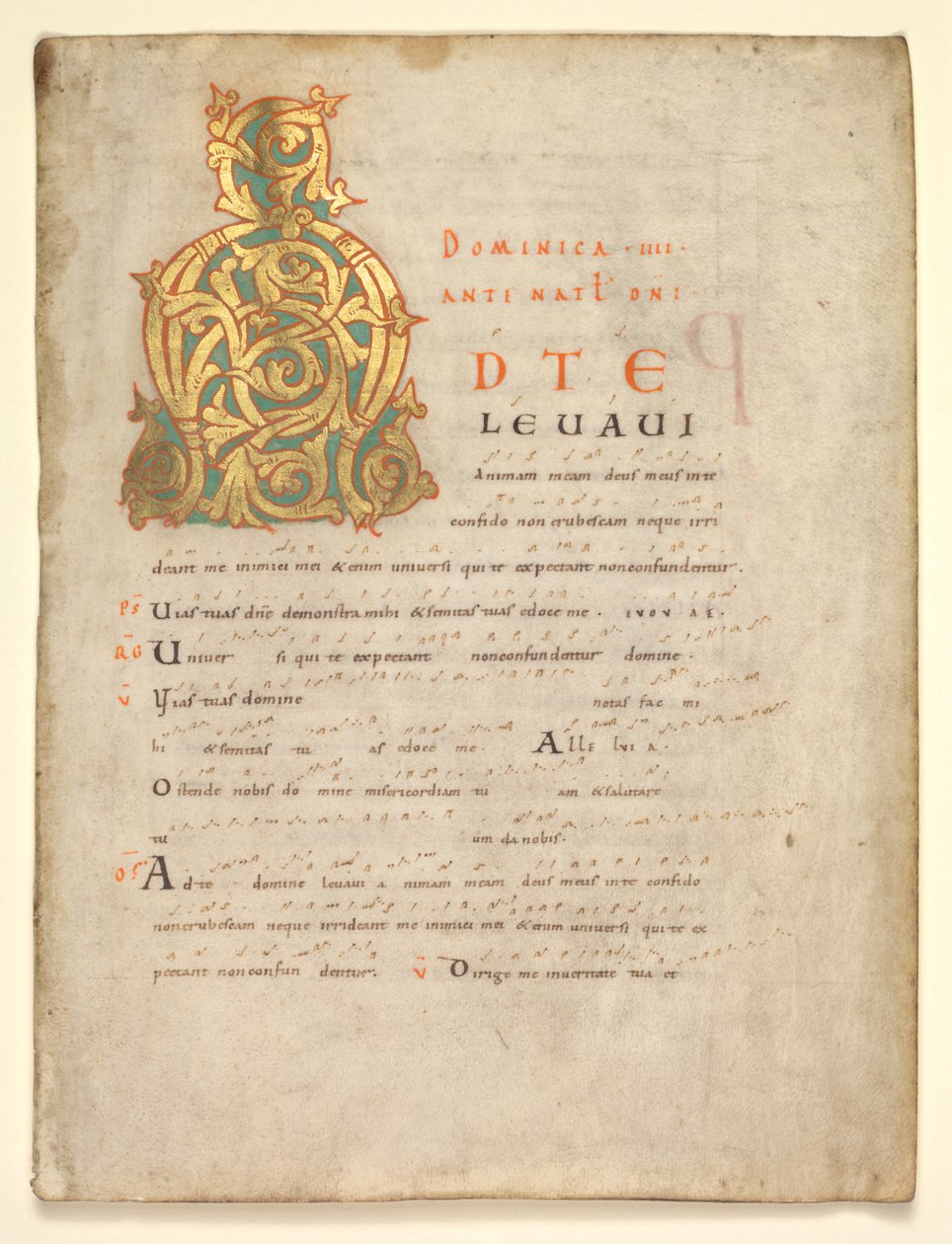 Enkeltblad utskåret fra en gradvis og sakramentær: Innledende A[d te lavavi] av Unknown artist