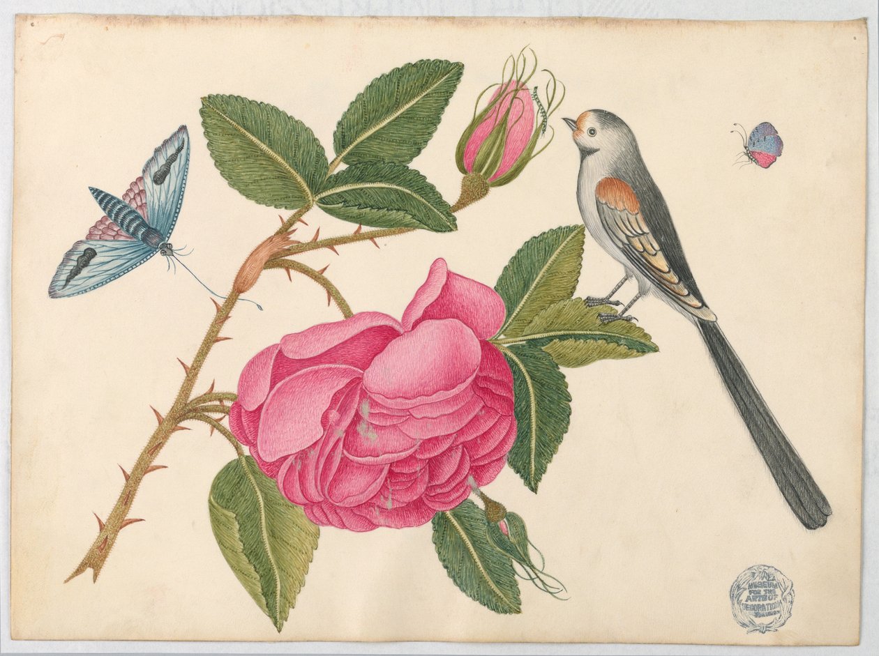 Liten svart-hvit fugl på roseblad med blomster og sommerfugler av Unknown artist