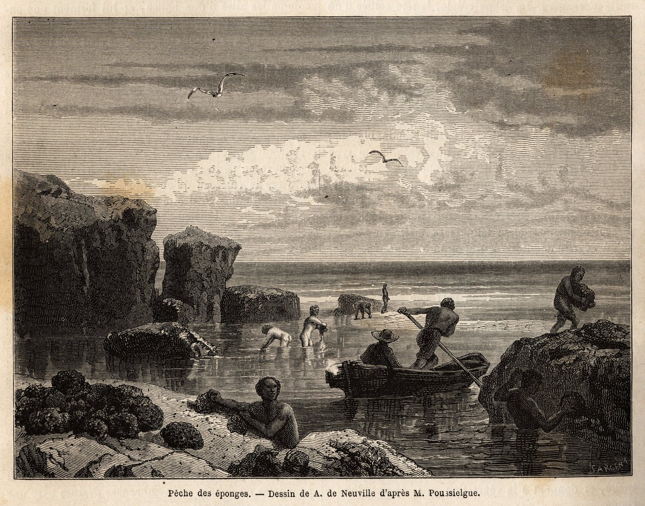 Svampfiske av øyboerne på Anastasia Island, en lav hoppe, samler kvinner og barn seg blant steinene og menn legger ut på kanoer for å dykke og hente dem i bunnen av havet. Gravering for å illustrere historien fire måneder i Florida, av Achille Po av Unknown artist