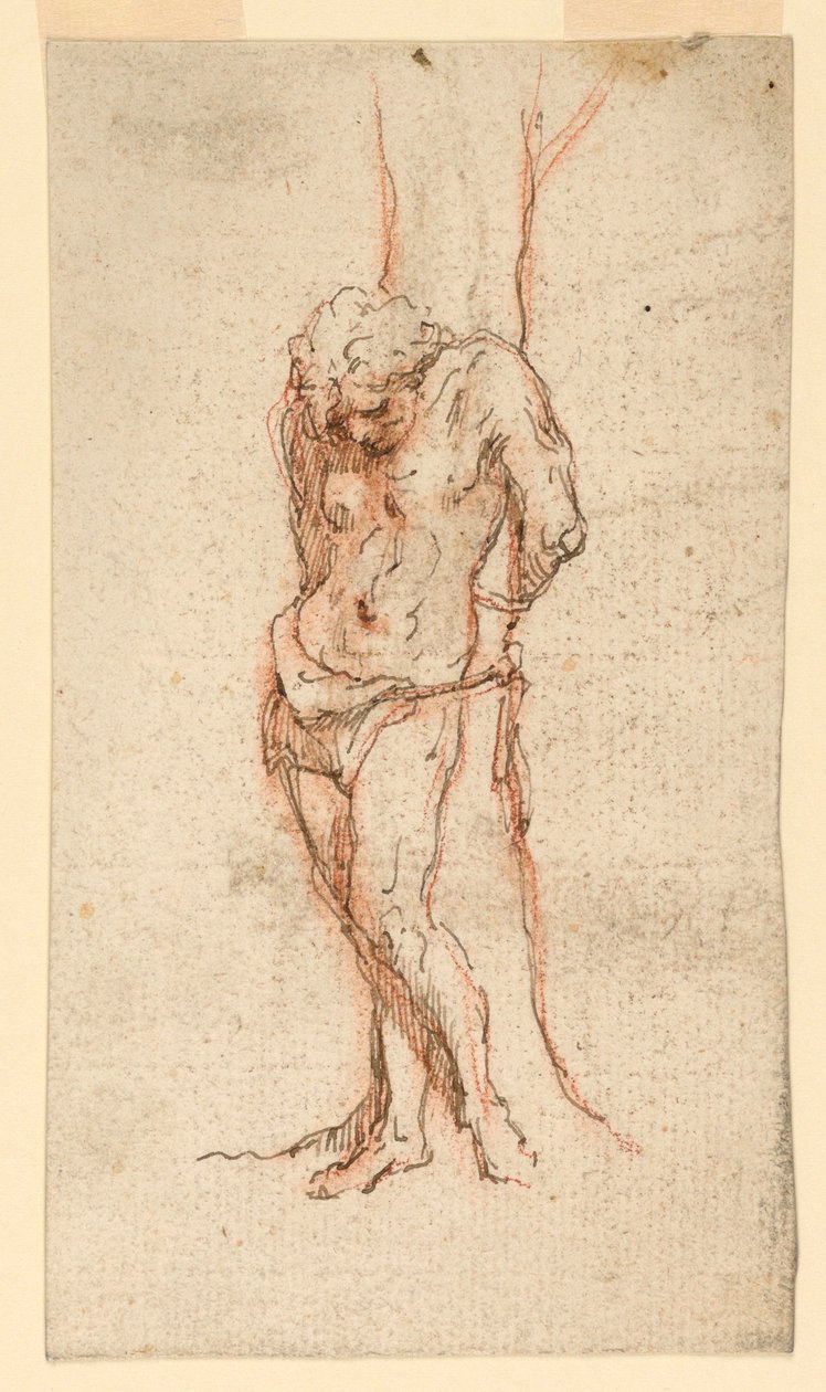 St. Sebastian festet til et tre av Unknown artist