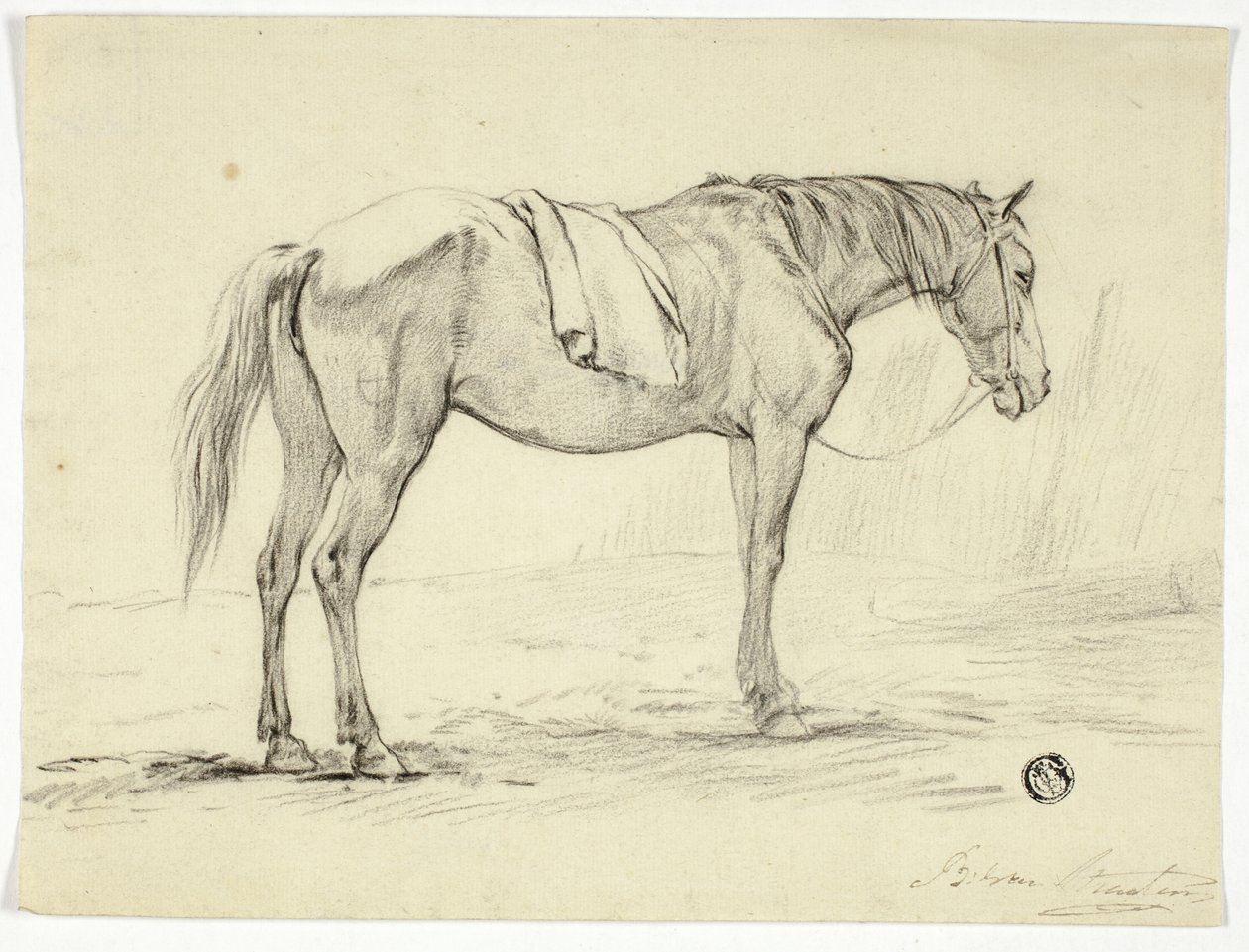 Stående hest av Unknown artist
