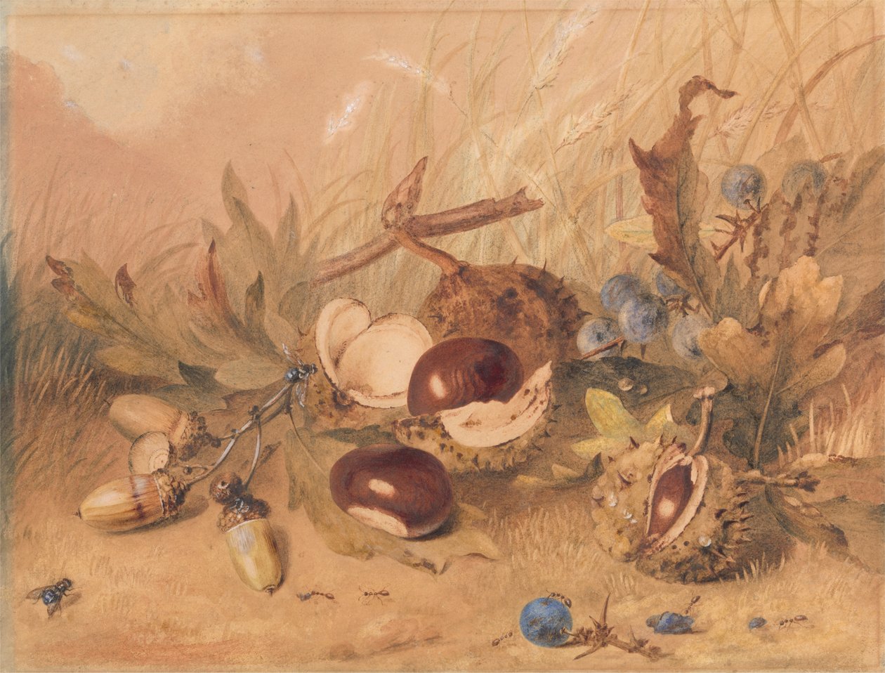 Stilleben med eikenøtter og hestekastanjer av Unknown artist