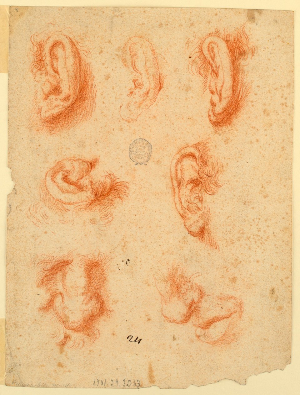Studier av fem ører, neser og en munn av Unknown artist