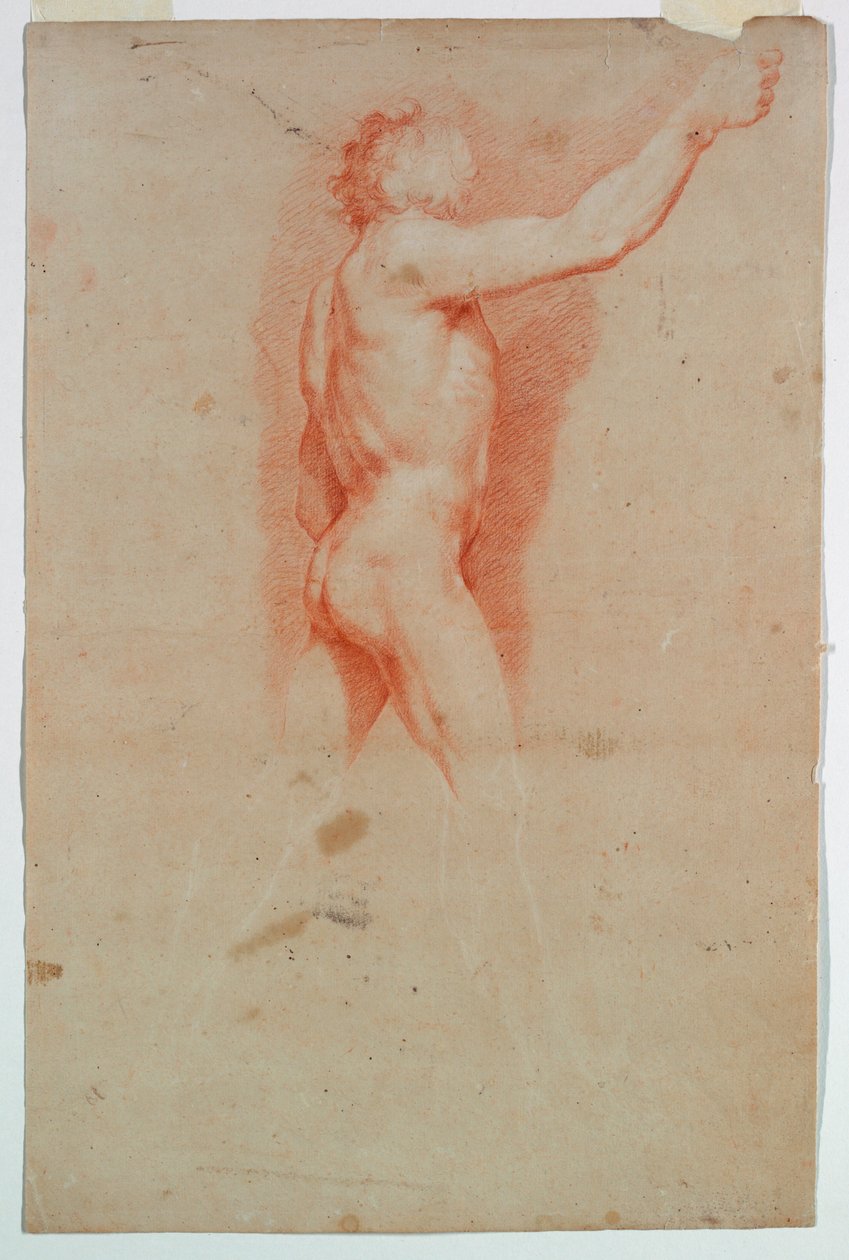 Studie: En naken av Unknown artist