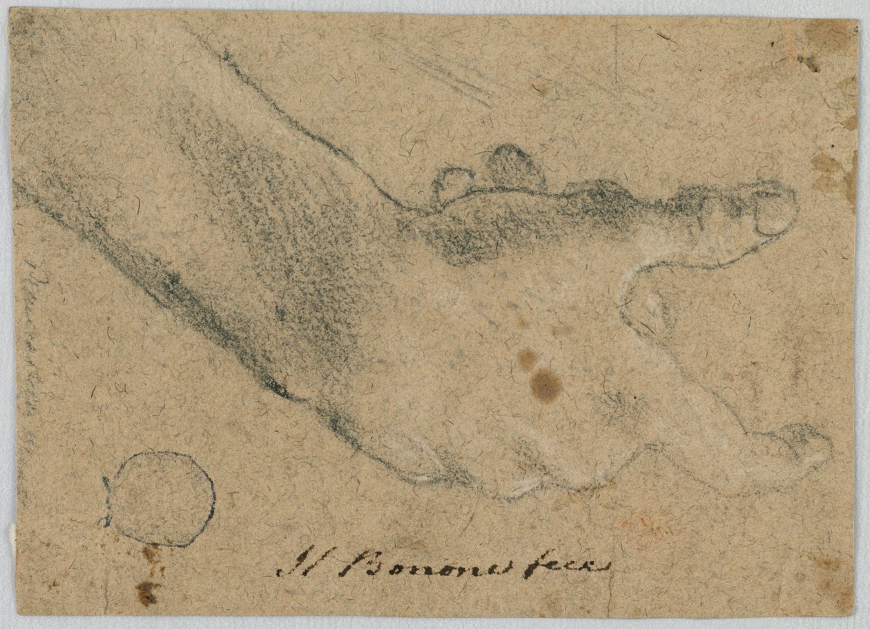 Studie: En høyre hånd av Unknown artist