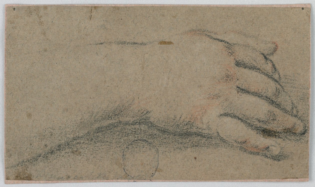 Studie: Høyre hånd til en kvinne av Unknown artist