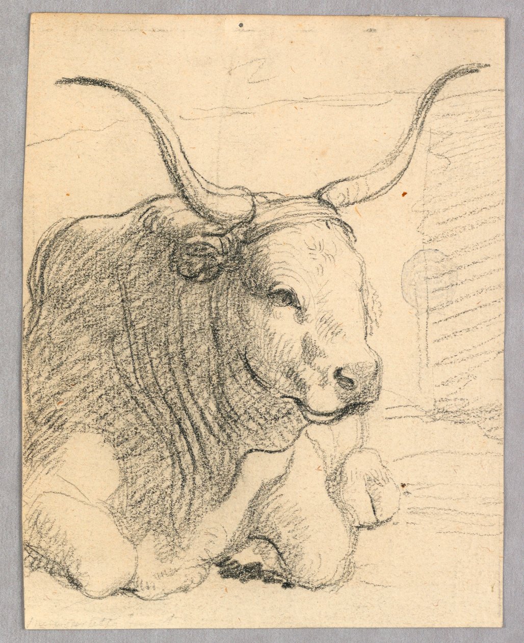 Studie: en liggende ku av Unknown artist