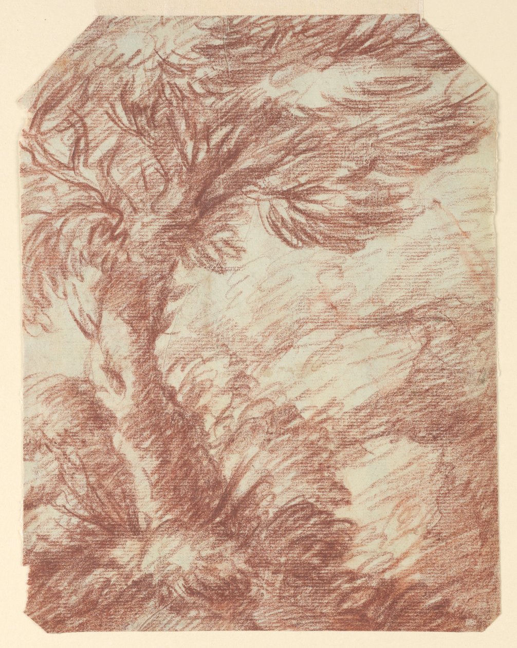 Studie av trær av Unknown artist