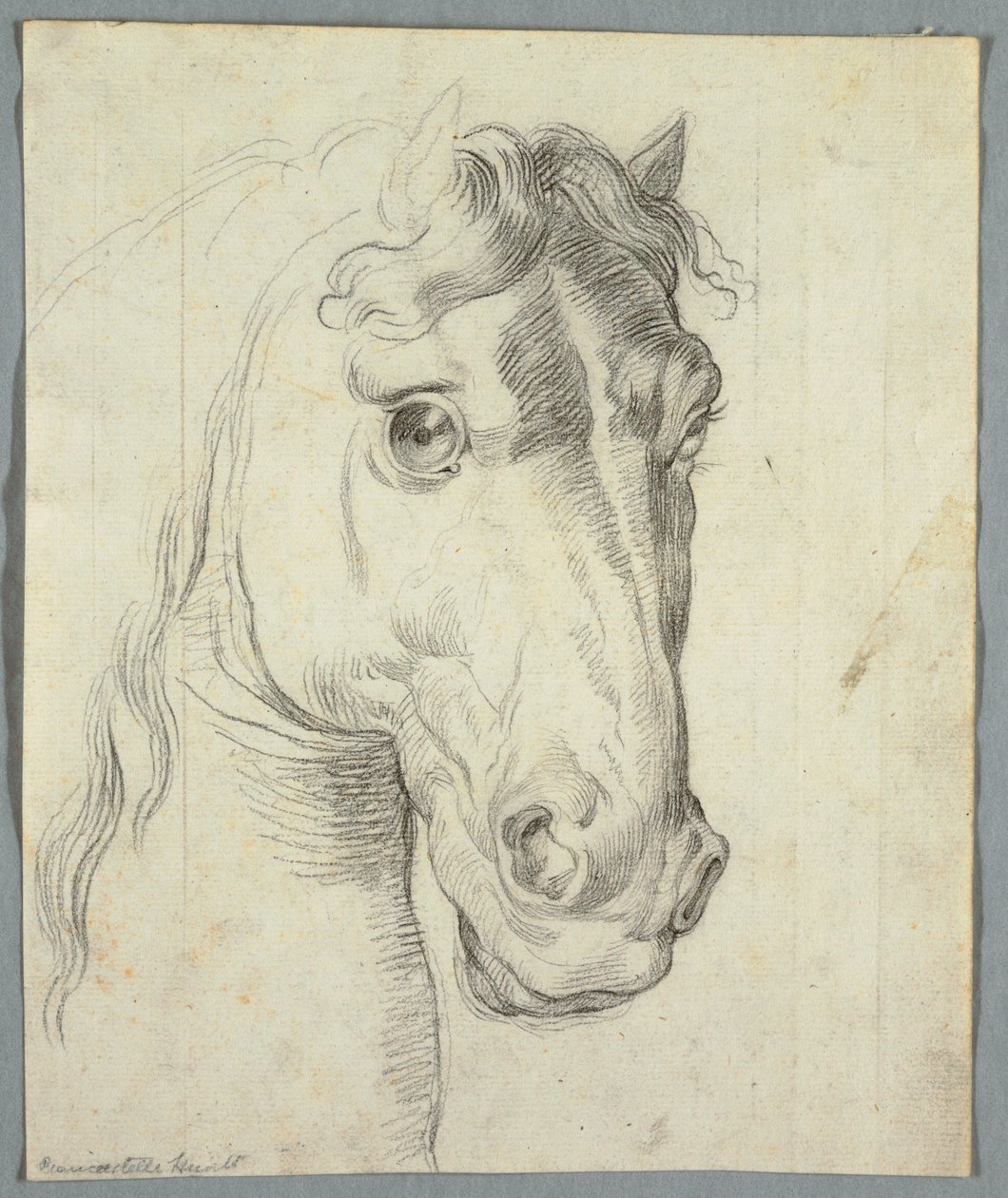 Studie av en hest av Unknown artist