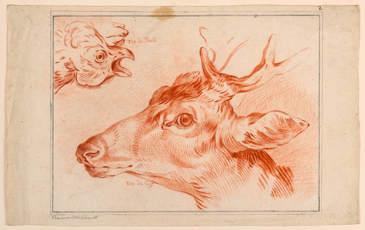 Studie av hodene til en kylling og hjort av Unknown artist